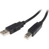STARTECH .com USB Data Transfer Cable for Printer, Scanner, Hard Drive - 2 m - Shielding - 1 Pack