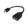 LENOVO DisplayPort/Mini DisplayPort A/V Cable for Monitor, Audio/Video Device - 2.13 m - 1 Pack