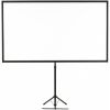 Epson V12H002S2Y Projection Screen - 203.2 cm (80")