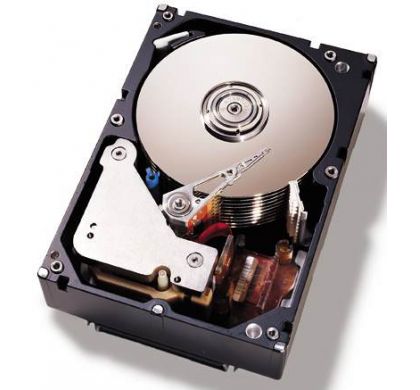 81Y9794 IBM 2 TB 3.5" Internal Hard Drive