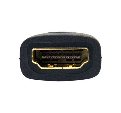 STARTECH .com A/V Adapter - 1 Pack Rear