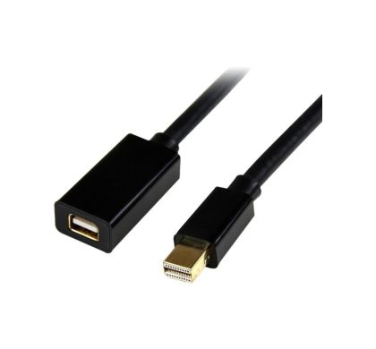 STARTECH .com Mini DisplayPort A/V Cable for Audio/Video Device, Monitor, MacBook, MacBook Pro, MacBook Air, Mac Pro, iMac, Mac mini - 1.83 m - Shielding - 1 Pack