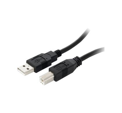 STARTECH .com USB Data Transfer Cable - 9.14 m - Shielding - 1 Pack