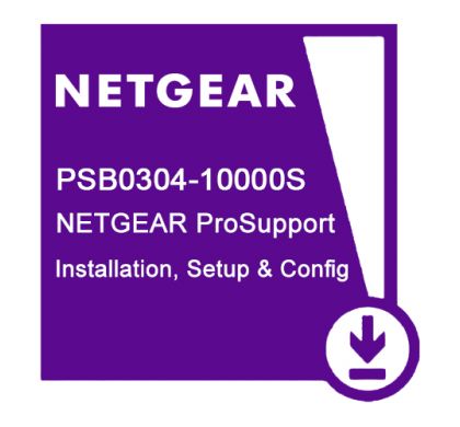 NETGEAR ProSupport Installation Setup and Configuration (Remote) - Service