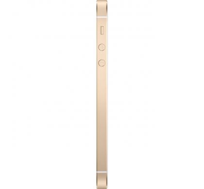 APPLE iPhone SE 32 GB Smartphone - 4G - 10.2 cm (4") LCD 1136 x 640 HD Touchscreen -  A9 Dual-core (2 Core) 1.84 GHz - 2 GB RAM - 12 Megapixel Rear/1.2 Megapixel Front - iOS 10 - SIM-free - Gold RightMaximum