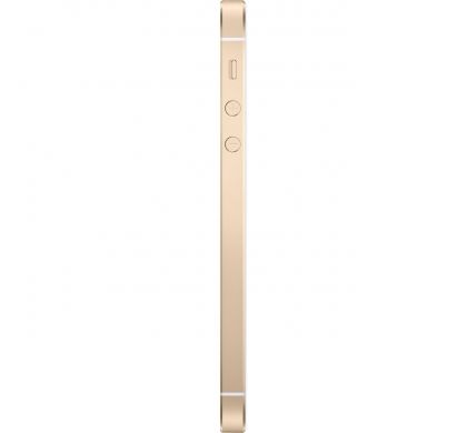 APPLE iPhone SE 128 GB Smartphone - 4G - 10.2 cm (4") LCD 1136 x 640 HD Touchscreen -  A9 Dual-core (2 Core) 1.84 GHz - 2 GB RAM - 12 Megapixel Rear/1.2 Megapixel Front - iOS 10 - SIM-free - Gold RightMaximum
