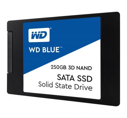 WESTERN DIGITAL Blue S250G2B0A 250 GB 2.5" Internal Solid State Drive - SATA