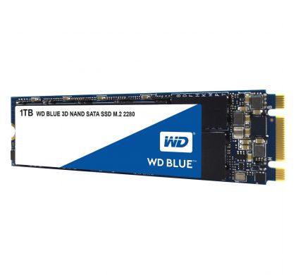 WESTERN DIGITAL Blue S100T2B0B 1 TB Internal Solid State Drive - SATA - M.2 2280