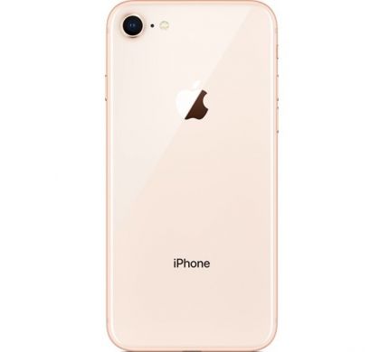 APPLE iPhone 8 64 GB Smartphone - 4G - 11.9 cm (4.7") LCD 1334 x 750 HD Touchscreen -  A11 Bionic Hexa-core (6 Core) - 2 GB RAM - 12 Megapixel Rear/7 Megapixel Front - iOS 11 - SIM-free - Gold RearMaximum