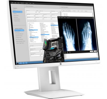 HP Business HC240 61 cm (24") LED LCD Monitor - 16:10 - 8 ms RightMaximum