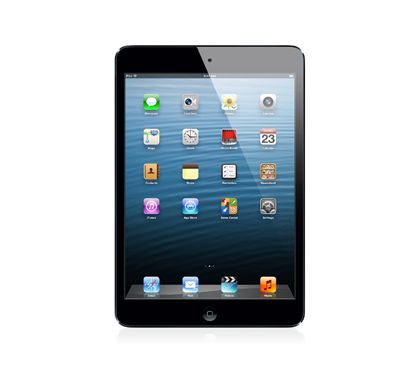 APPLE iPad mini 16GB Wi-Fi + Cellular - Black & Slate Front