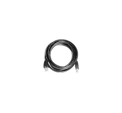 HP Category 5e Network Cable - 4.27 m