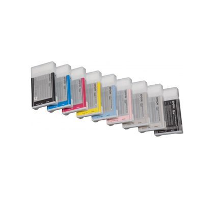 EPSON Light Black Ink Cartridge C13T602700