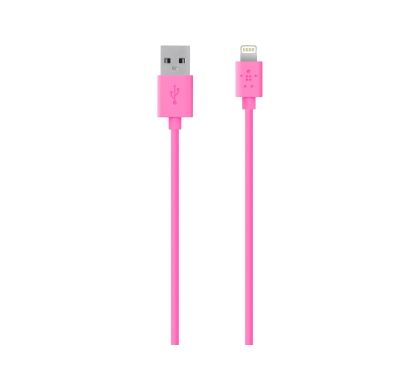 BELKIN MIXITâ†‘ Lightning/USB Data Transfer Cable for iPhone, iPod, iPad, Notebook - 1.20 m