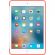 APPLE Case for iPad mini 4 - Apricot RearMaximum